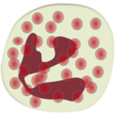 download Neutrophil clipart image with 90 hue color