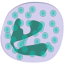 download Neutrophil clipart image with 270 hue color