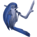 download Paradoxornis Verreauxi clipart image with 180 hue color