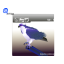 download Osprey clipart image with 225 hue color