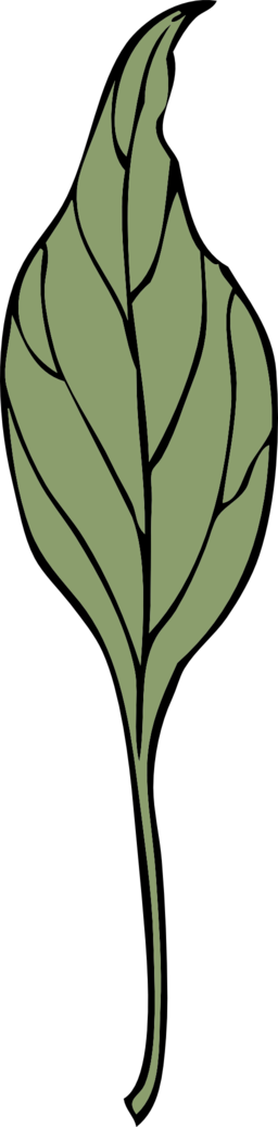 Ivy Leaf 4