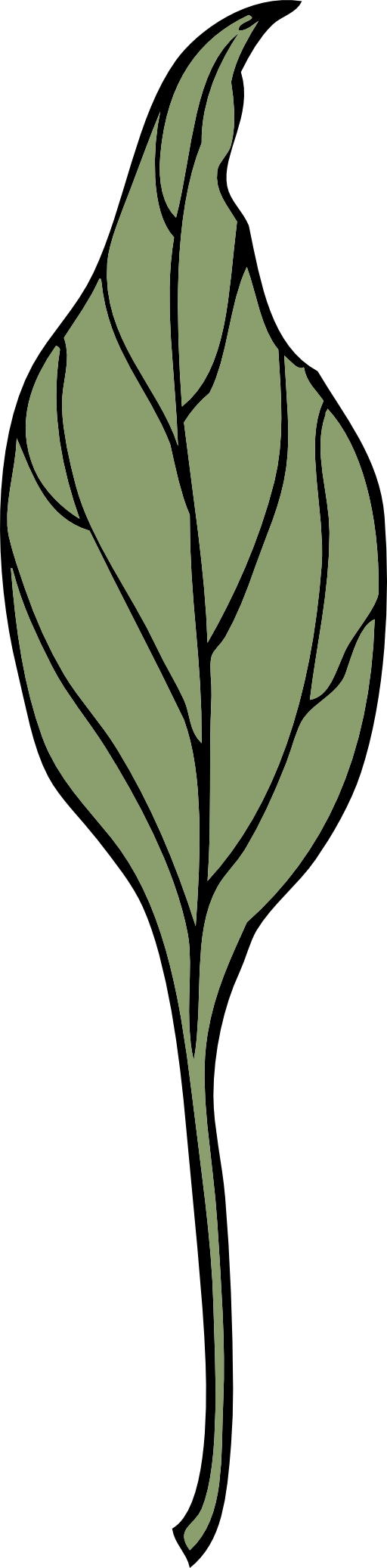 Ivy Leaf 4