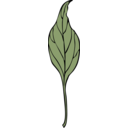 Ivy Leaf 4