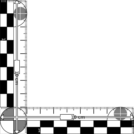 Photomacrographic Scale 10x10cm