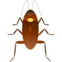 Cockroach Cucaracha