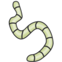 download Earthworms clipart image with 45 hue color