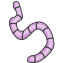 download Earthworms clipart image with 270 hue color