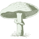 download Mushroom clipart image with 45 hue color