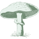 download Mushroom clipart image with 90 hue color
