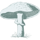 download Mushroom clipart image with 135 hue color