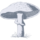 download Mushroom clipart image with 180 hue color