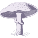 download Mushroom clipart image with 225 hue color