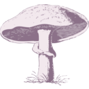 download Mushroom clipart image with 270 hue color