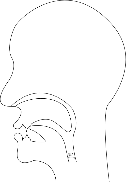 Midsagittal N Voiced Alveolar Nasal