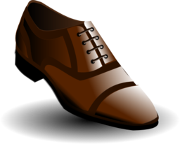 Brown Shoes