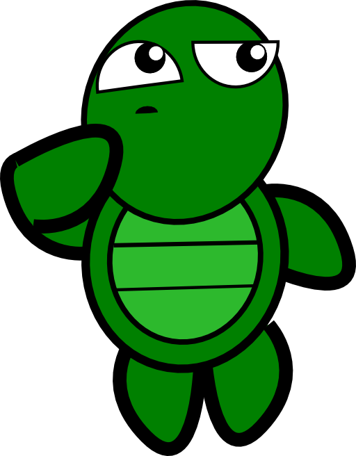 Turtle Thinking