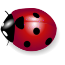 download Coccinelle clipart image with 315 hue color