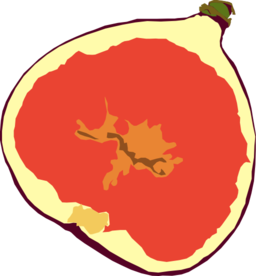 Fig