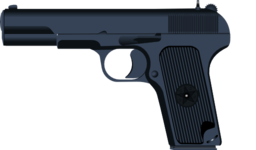 Tokarev Tt 33