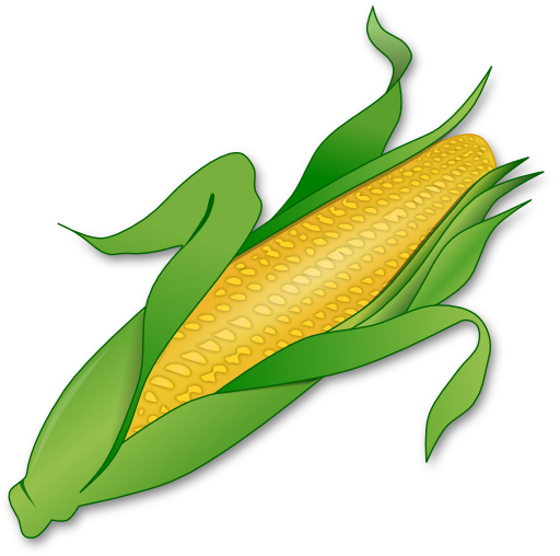 Corn