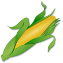 download Corn clipart image with 0 hue color