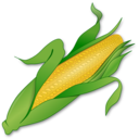 Corn