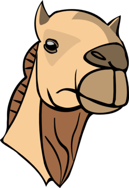 Camel Head