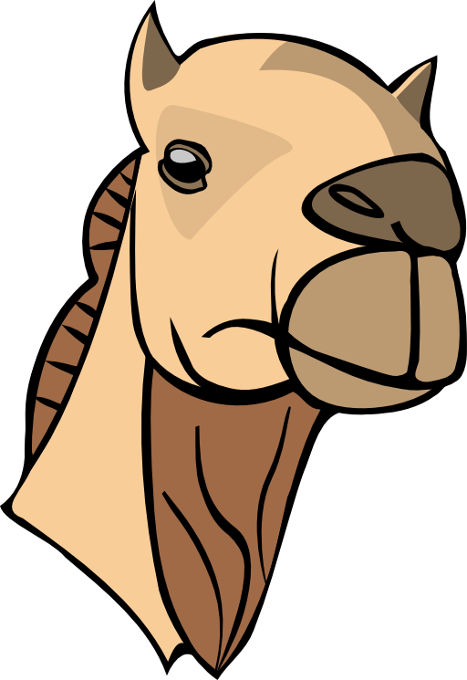 Camel Head