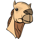 Camel Head