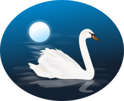 Swan