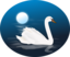 Swan