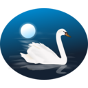 Swan