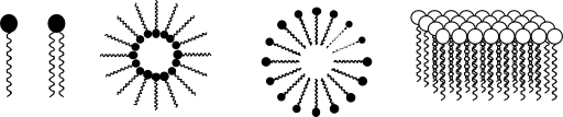Mouillant