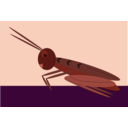 download Grasshopper clipart image with 270 hue color