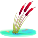 download Reed clipart image with 315 hue color