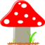 Mushroom Seta