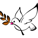 download Paloma clipart image with 270 hue color