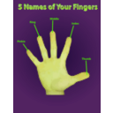 download Finger Names Poster clipart image with 45 hue color