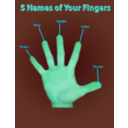download Finger Names Poster clipart image with 135 hue color