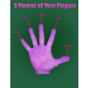 download Finger Names Poster clipart image with 270 hue color