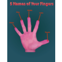 download Finger Names Poster clipart image with 315 hue color