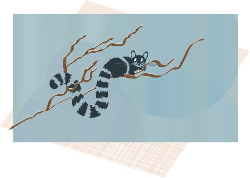 Raring Ringtail Remix