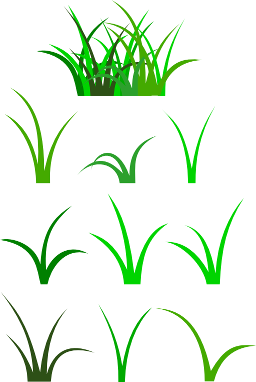 Grass