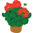 download Geramium In A Pot clipart image with 0 hue color