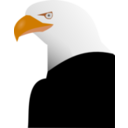 download Eagle clipart image with 0 hue color