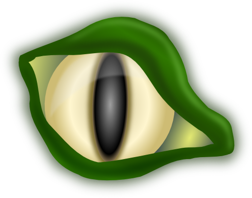 Croc Eye