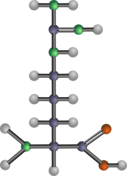 Arginine Amino Acid