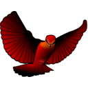 Red Bird