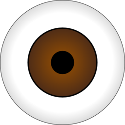 Olhos Castanhos Brown Eye