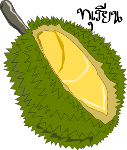 Durian Thai Fruit